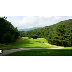 東萊貝內斯特高爾夫俱樂