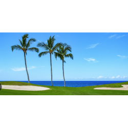 希勒海灘高爾夫俱樂