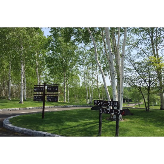 札幌高爾夫球場 