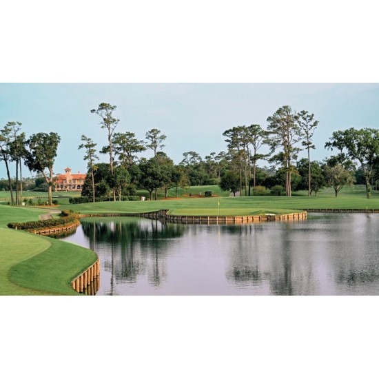 TPC鉅齒草球場